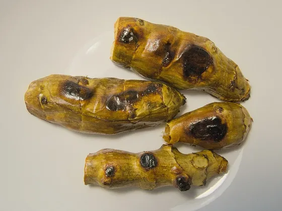 Sunchoke (Helianthus tuberosus)